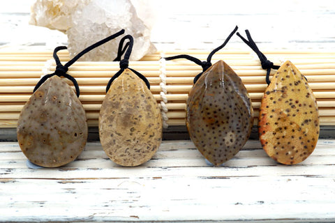 Petrified Palm Wood / Fossilized Palm Wood Teardrop pendant (ETP00113)