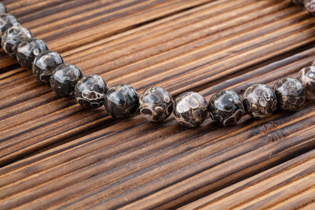 Turritella Agate 17-18mm round beads (ETB00949)