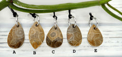 Petoskey Stone freeform pendants (ETP00293)