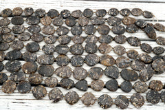 Turritella agate freeform beads (ETB00043)