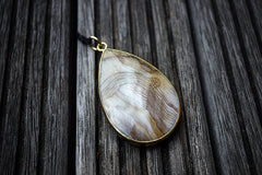 Wood Opalite/ Petrified Wood freeform pendant with brass (ETP00143)