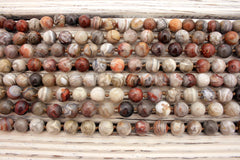 Laguna Lace Agate 12-12.5mm round beads (ETB00991)