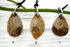 Petoskey Stone freeform pendants (ETP00293)