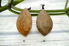 Petoskey Stone freeform pendants (ETP00290)