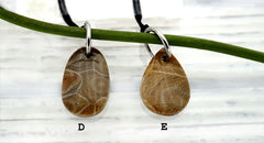 Petoskey Stone freeform pendants (ETP00293)