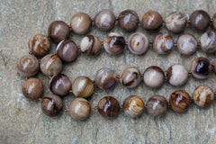 Wood Opalite/ Petrified Wood 15-16.5mm round beads (ETB00848)