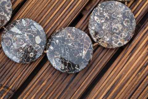 Turritella Agate 33-46mm round disc beads (ETB00914)