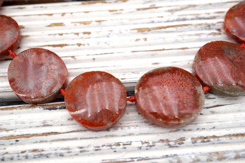Red Horn Coral Fossil freeform beads  (ETB01699) Coral Fossil/Unique jewelry/Vintage jewelry/Gemstone necklace