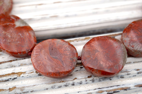 Red Horn Coral Fossil freeform beads  (ETB01698) Coral Fossil/Unique jewelry/Vintage jewelry/Gemstone necklace