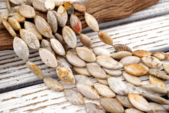 Coral Fossil marquise beads 11-13mm (ETB01716)  Healing crystal/Reiki healing/Healing necklace