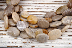 Coral Fossil Oval beads (ETB01724) Healing crystal/Reiki healing/Healing necklace