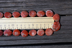 (SPL00055)  Fossilised Red Horn Coral freeform beads/necklace