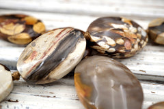 Peanut Wood Fossil freeform beads (ETB01624) Australian/Designer Jewelry/Unique jewelry/Vintage jewelry