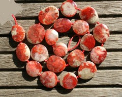 Rare & beautiful Red Horn Coral Fossil 18-16mm freeform beads (ETB00954)