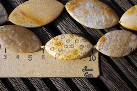 Indonesian Agatized Fossil Coral 19-23mm marquise beads (ETB00584)