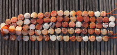 Matte Carnelian 20-22mm spiral/ snail beads (ETB00301)