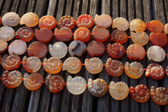 Matte Carnelian 20-22mm spiral/ snail beads (ETB00301)