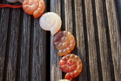 Matte Carnelian 20-22mm spiral/ snail beads (ETB00301)