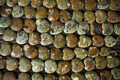 Rainforest Rhyolite 33-43mm heart shape beads (ETB00565)