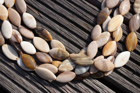 Petrified honey Palm wood / Fossilized Palm wood Marquise beads (ETB00093)