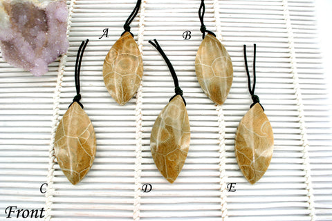 Petoskey Stone freeform pendants (ETP00315)