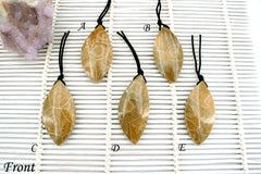 Petoskey Stone freeform pendants (ETP00315)