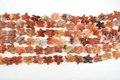 Carnelian 19.5-24mm starfish shape beads (ETB01299)