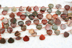 Rainbow Jasper 13.5-15.5mm shell shape beads (ETB01306)