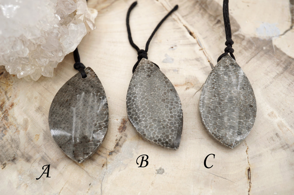 Rare Moroccan Fossilised Bryozoan Coral freeform pendants (ETP00167)