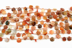 Carnelian 11.5-13.5mm shell shape beads (ETB01308)