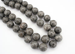 Bryozoan Coral 15.5-16.5mm round beads (ETB00605)