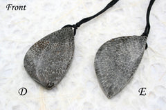 Rare Moroccan Fossilised Bryozoan Coral freeform pendants (ETP00168)