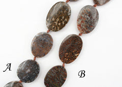 Dinosaur Bone freeform beads (ETB01249)