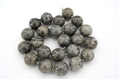 Bryozoan Coral 15.5-16.5mm round beads (ETB00605)