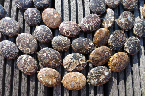 Turritella agate 16-18mm oval beads (ETB00857)