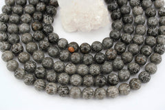 Bryozoan Coral 8mm round beads (ETB00604)
