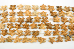 Yellow Jasper 20-23mm starfish shape beads (ETB01302)