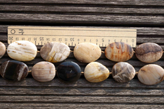 Rare, beautiful & natural Petrified Wood 25-33mm freeform beads (ETB00542)