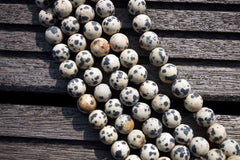 Matte Dalmatian Jasper 7-8mm round beads  (ETB00153)