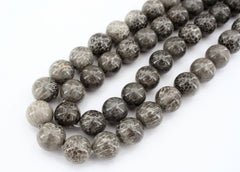 Bryozoan Coral 11-12mm round beads (ETB00608)