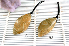 Petoskey Stone freeform pendants (ETP00315)