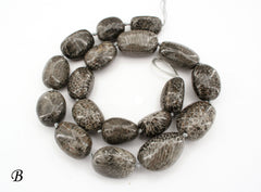Bryozoan Coral freeform beads (ETB00470)