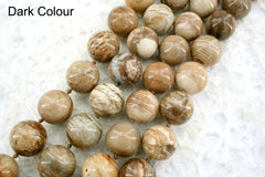 Wood Opalite/ Petrified Wood 16.5-18.5mm round beads (ETB00794)