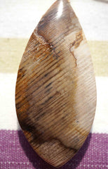 Wood Opalite/ Petrified Wood Freeform pendant  (ETP00063)