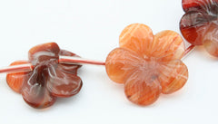 Carnelian 20-23mm flower beads (ETB01250)
