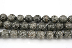Bryozoan Coral 9.5-10mm round beads (ETB00606)