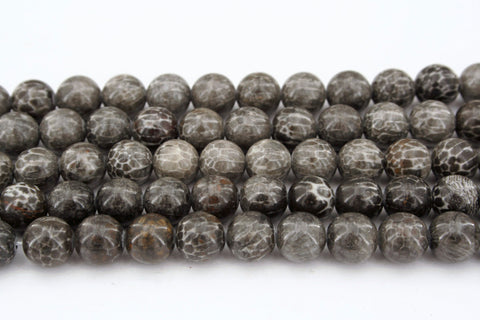 Bryozoan Coral 8mm round beads (ETB00604)