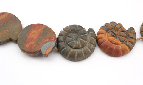 Handmade Matte Australian Picture Jasper 21-24mm spiral/ snail beads (ETB01262)