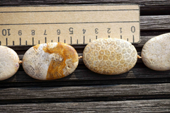 Indonesian Agatized Fossil Coral 22-29mm oval beads (ETB00586)