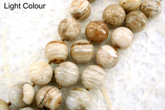 Wood Opalite/ Petrified Wood 16.5-18.5mm round beads (ETB00794)